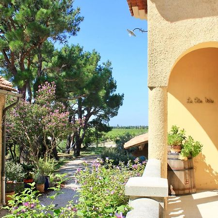 Le Clos Vitis Violes Экстерьер фото